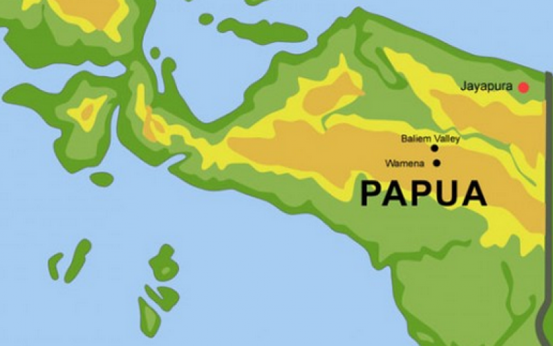 Otsus Papua Jilid 2 Meningkatkan Fasilitas Kesehatan