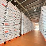 Kerja Keras Pemerintahan Prabowo, Stok Beras Tembus 5 Juta Ton