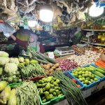 Ekonom paparkan strategi Program MBG dan ketahanan fiskal beriringan